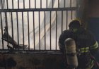 Incêndio atinge escola infantil em Goiânia; alunos são evacuados às pressas