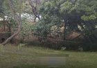 Jovem é encontrado morto com marcas de tiro em parque de Goiânia