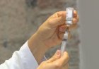 Nova variante da Covid-19, XEC, é detectada no Brasil