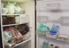 Moradores de São Paulo Sofrem com Quarto Dia de Apagão e Improvisam para Superar Falta de Energia