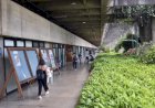 Universidade de Brasília aprova cotas para pessoas trans em cursos de graduação a partir de 2025