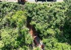 Acidente com Derramamento de Agrotóxicos na GO-164: Primeira Etapa de Sanções Concluída