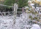 Ciclone provoca risco de temporais, ressaca e até neve no Rio Grande do Sul