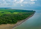 Leilão da ANP arrecada quase R$ 1 bilhão, mas gera protestos indígenas e quilombolas