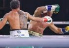 POPÓ X WANDERLEI SILVA TERMINA EM CONFUSÃO GENERALIZADA NO SPATEN FIGHT NIGHT 2