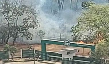 Incêndio atinge área de vegetação no Centro de Treinamento do Goiás em Goiânia