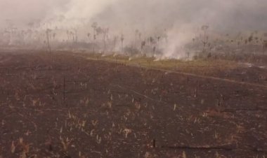 Incêndios criminosos destroem 33% do Parque Guajará-Mirim, em Rondônia