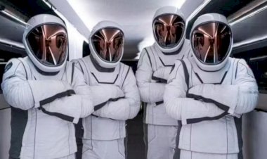 Missão Polaris Dawn da SpaceX é lançada e promete a primeira caminhada espacial privada