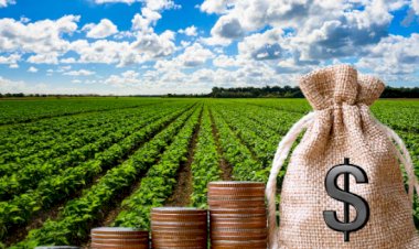 Fundo do Agronegócio do Itaú enfrenta desafios com CRAs de produtores em dificuldades financeiras