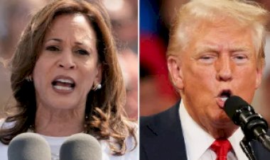 Jovens Eleitores dos EUA Colocam Economia no Centro das Eleições Presidenciais