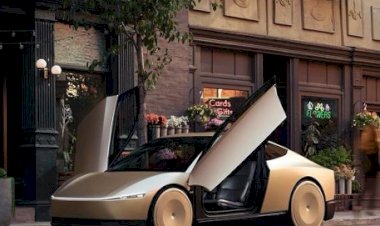 Robôs Domésticos e Veículos Autônomos: As Inovações de Elon Musk no Evento 