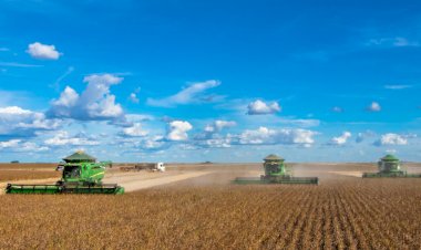 PIB do agronegócio brasileiro recua 1,28% no segundo trimestre de 2024, com queda acumulada de 3,5% no ano