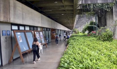 Universidade de Brasília aprova cotas para pessoas trans em cursos de graduação a partir de 2025