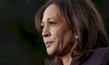 Derrota de Kamala Harris abre crise e busca por novas lideranças nos Democratas