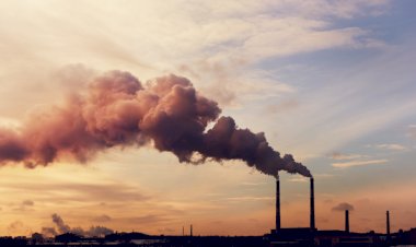 Brasil regulamenta mercado de carbono, mas exclui agronegócio das obrigações iniciais