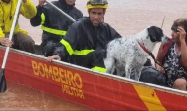 Goiás Alerta e Solidário: Governo Intensifica Ações de Socorro nas Áreas Atingidas pelas Chuvas