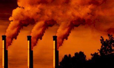 Acordo de Paris: Apenas 10 países atualizaram metas para redução de emissões antes do prazo