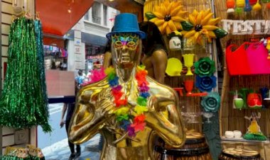 Carnaval 2025: Fernanda Torres e Estatueta do Oscar Inspiram Foliões!