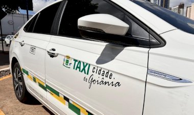 Câmara aprova mudanças para taxistas com viagens entre estados e corridas compartilhadas