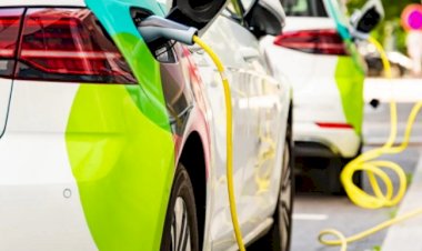 Goiânia é a 8ª cidade do Brasil com mais carros elétricos em circulação, aponta ABVE