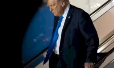 Trump anuncia tarifa de 100% sobre filmes estrangeiros e cita “ameaça à Segurança Nacional”