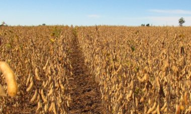 MPF pede arquivamento de inquérito sobre venda de agrotóxicos ilegais em Goiás