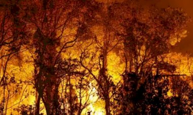 GOIÁS PROÍBE USO DO FOGO E DECLARA EMERGÊNCIA AMBIENTAL POR RISCO DE INCÊNDIOS