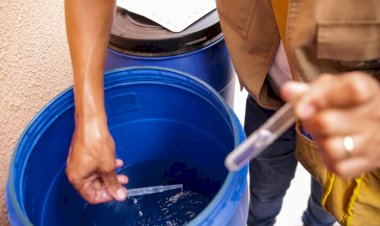 GOIÁS REGISTRA 67 MORTES POR DENGUE EM 2025, MAS NOTIFICAÇÕES APRESENTAM QUEDA SIGNIFICATIVA