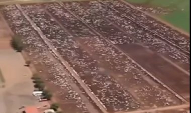 Imagens revelam a dimensão da Fazenda JBJ