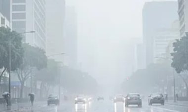 São Paulo acumula quase 200 mm de chuva