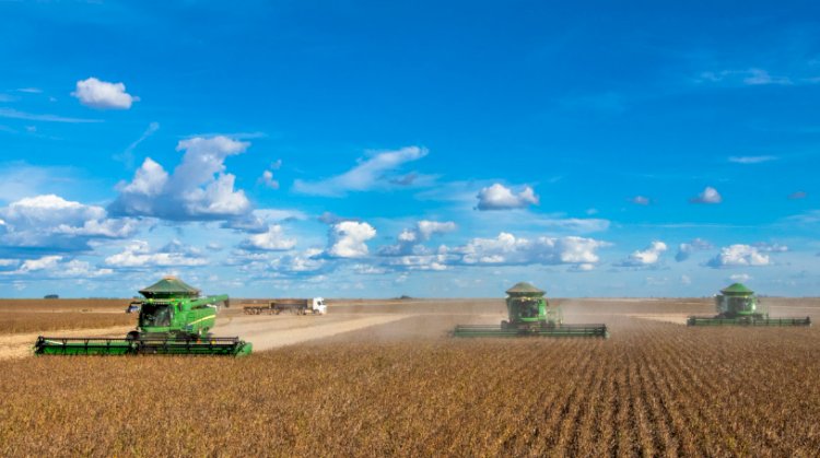 PIB do agronegócio brasileiro recua 1,28% no segundo trimestre de 2024, com queda acumulada de 3,5% no ano
