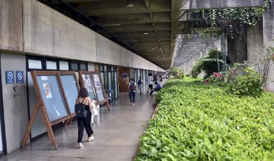 Universidade de Brasília aprova cotas para pessoas trans em cursos de graduação a partir de 2025