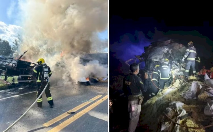 Rodovias federais de Goiás registram média de 6 acidentes diários em 2024