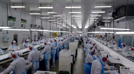 Preços dos alimentos caem no atacado após 10 meses de alta