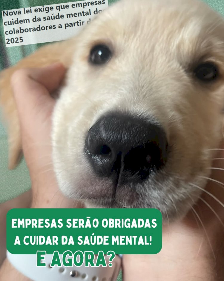 Café com Patinhas: Inovação na Saúde Mental Corporativa