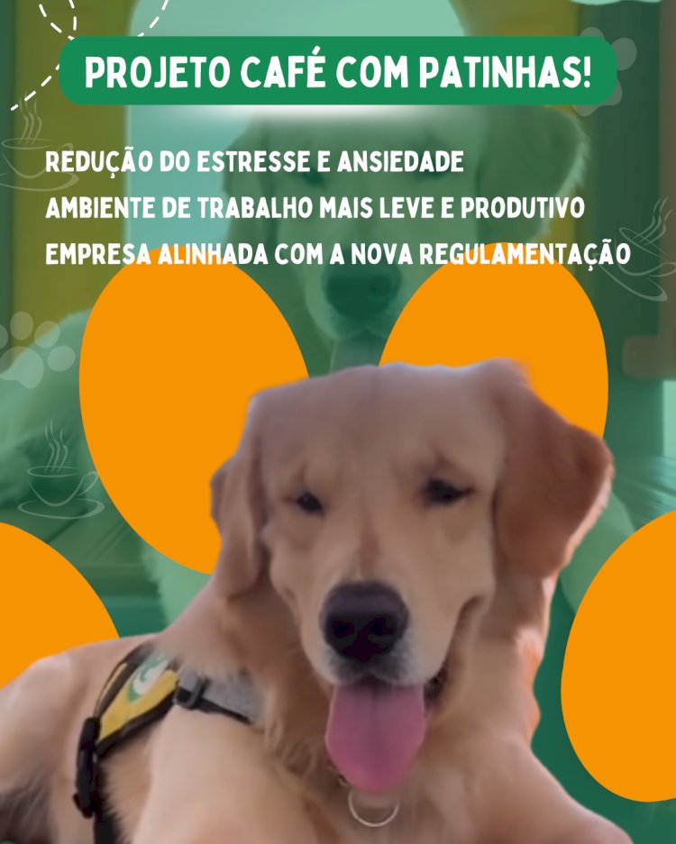Café com Patinhas: Inovação na Saúde Mental Corporativa