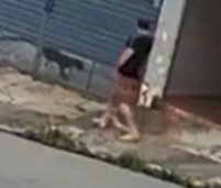 Tutor salva cachorro de ataque de pitbull e o coloca sobre o teto de um carro