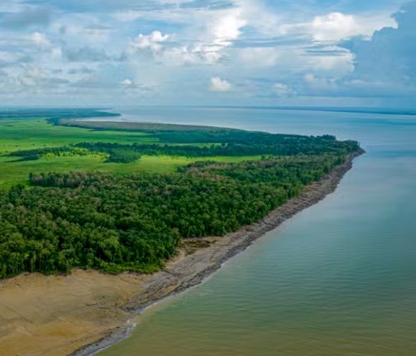 Leilão da ANP arrecada quase R$ 1 bilhão, mas gera protestos indígenas e quilombolas
