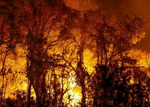 GOIÁS PROÍBE USO DO FOGO E DECLARA EMERGÊNCIA AMBIENTAL POR RISCO DE INCÊNDIOS