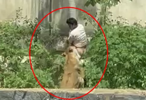 HOMEM MORRE APÓS INVADIR RECINTO DE LEOA EM JOÃO PESSOA (PB)