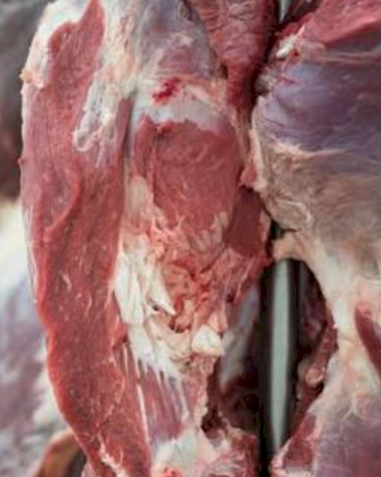 Carne brasileira passa a pagar tarifa de 67%